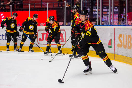 Brynäs Rudolf Cerveny