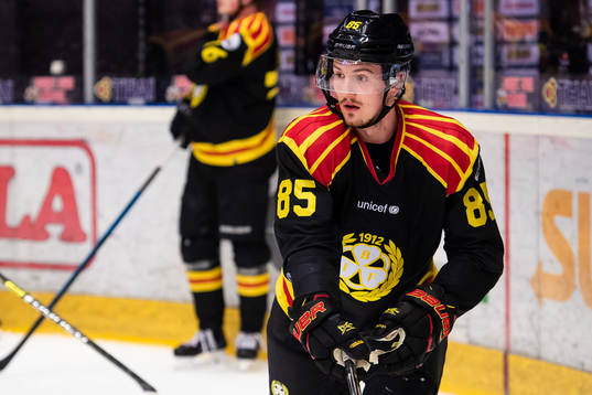 Brynäs Rudolf Cerveny