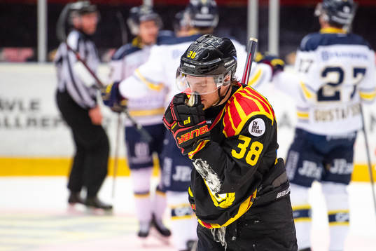 Brynäs Adrian Elefalk deppar