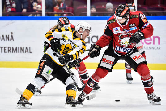 Bläddra bland fler bilder av Ishockey, SHL, Malmö Redhawks - Skellefteå