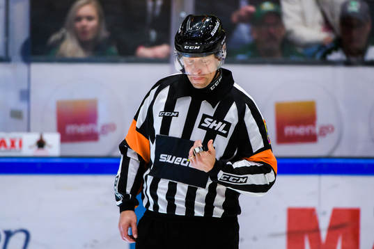 Domare Sören Persson