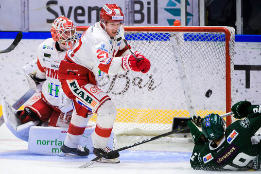 Timrås målvakt Victor Brattström och Johannes Kinnvall