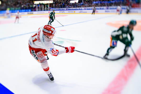 Timrås Henrik Törnqvist