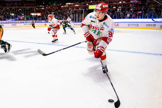 Timrås Filip Hållander
