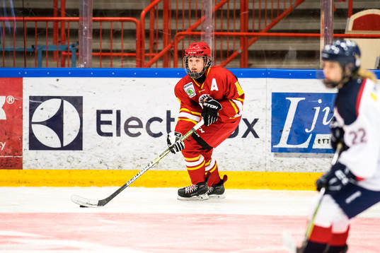 Småland 13 i ishockey i Stålbucklan mellan Småland och