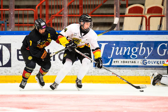 Södermanlands 4 och Skånes 7 i ishockey i Stålbucklan