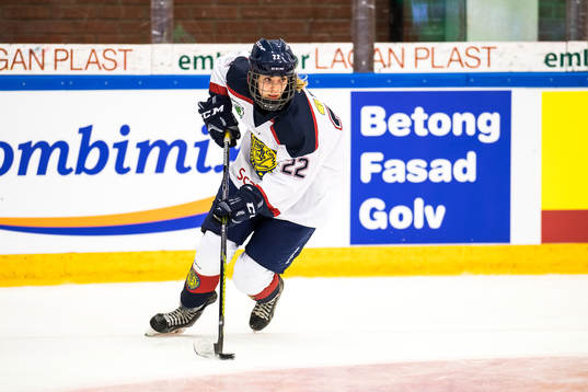 stockholm 22 i ishockey i Stålbucklan mellan Småland och