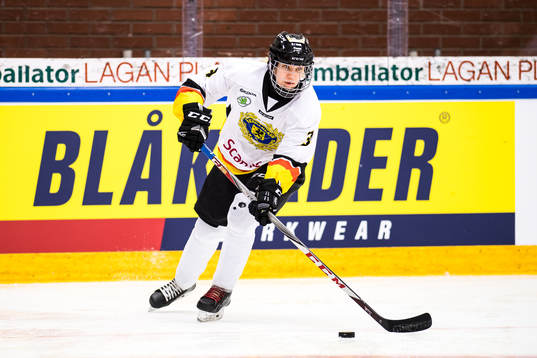 Södermanlands Pusle Dyring-Andersen