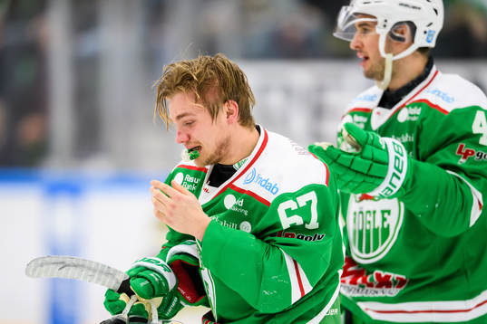 Rögles Leon Bristedt