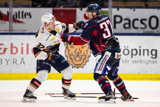Bläddra bland fler bilder av Ishockey, SHL, Linköping – Djurgården
