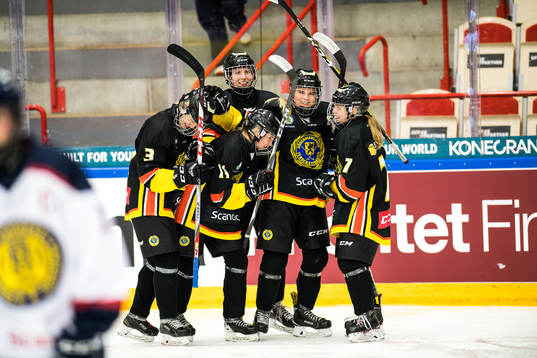 a fr h)  gjort 1-3