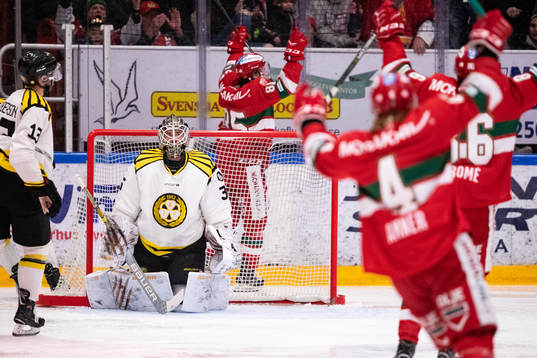 Brynäs målvakt David Rautio deppar