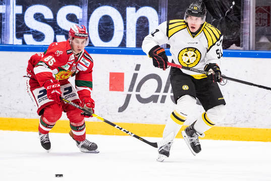 Moras Michael Haga och Brynäs Tomi Sallinen