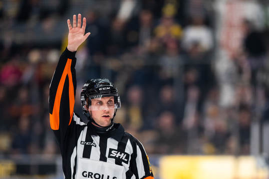 Domare Patric Bjälkander