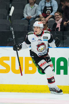 Malmö Redhawks Christoffer Forsberg jublar