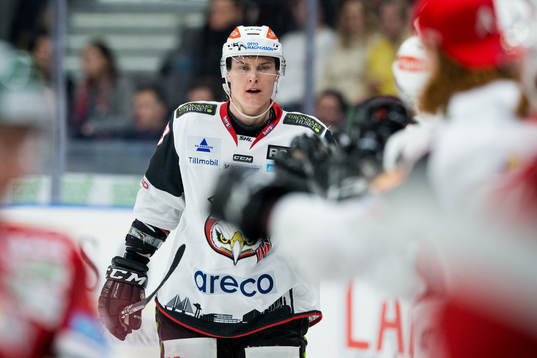 Malmö Redhawks Fredrik Händemark jublar