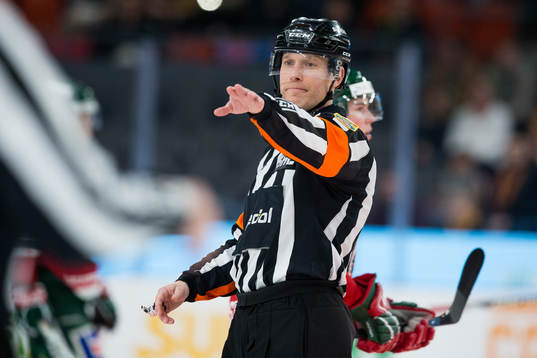 Domare Tobias Björk