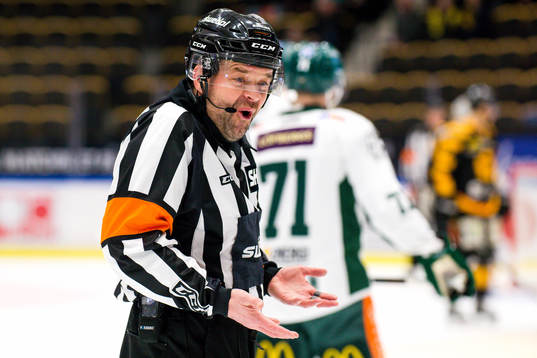 Domare Patrik Sjöberg