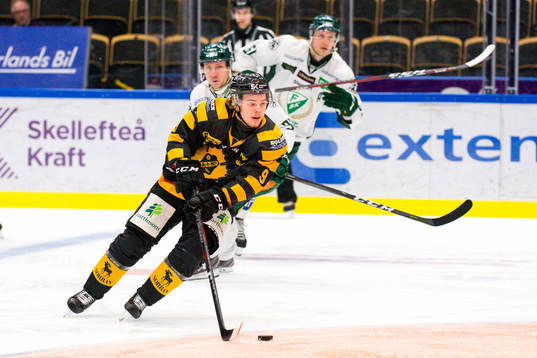 Skellefteås Tim Söderlund