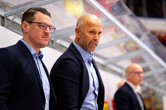 Timrås assisterande tränare Tommy Sjödin