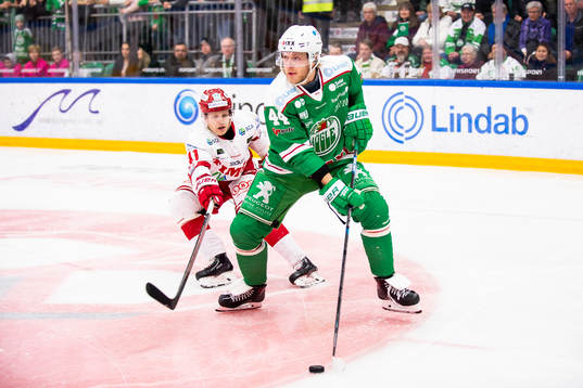 Rögles Olle Liss