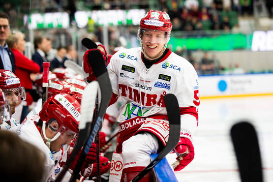 Timrås Vilmos Gallo