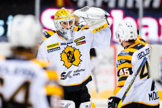 Bläddra bland fler bilder av Ishockey, SHL, Brynäs - Skellefteå
