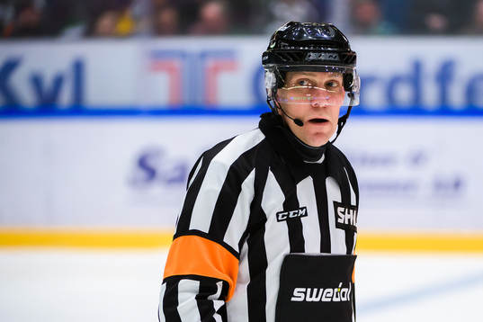 Domare Morgan Johansson