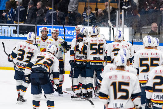 Djurgårdens spelare jublar
