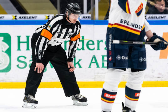 Domare Mikael Andersson