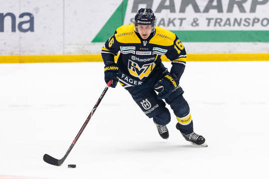 s Markus Ljungh