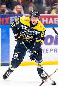 s David Gustafsson