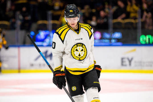 Brynäs Jesper Boqvist deppar