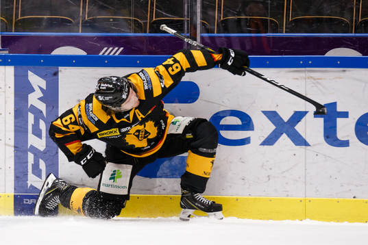 Bläddra bland fler bilder av Ishockey, SHL, Skellefteå - Brynäs