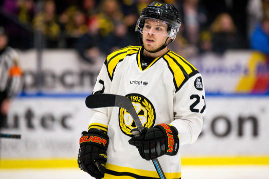 Brynäs Emil Forslund