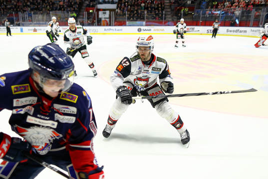 Malmö Redhawks Niklas Arell