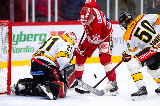 Luleås målvakt Niklas Rubin och Timrås Ludvig Rensfeldt