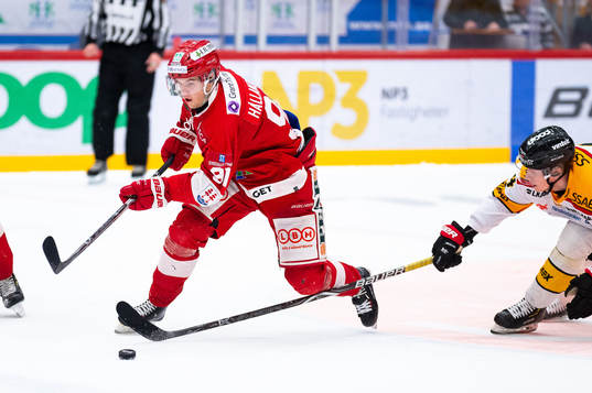 Timrås Filip Hållander