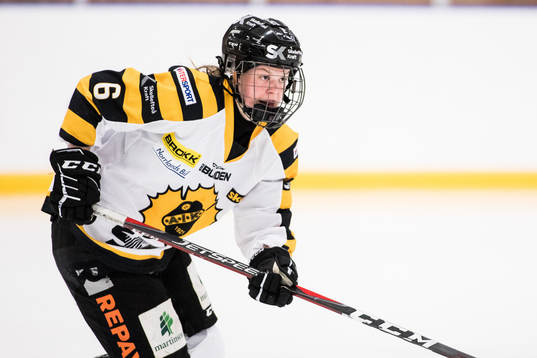 .. under ishockeymatchen i kvalet till SDHL mellan SDE och