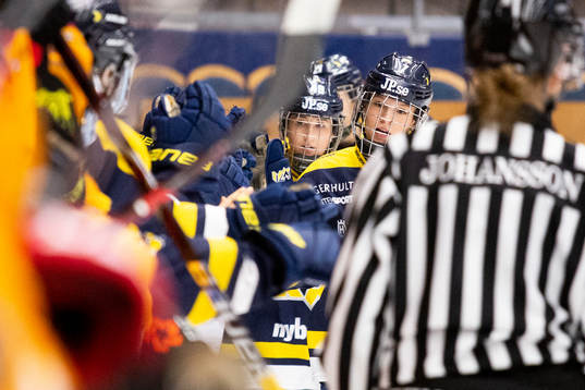 Spelare ur HV71 jublar