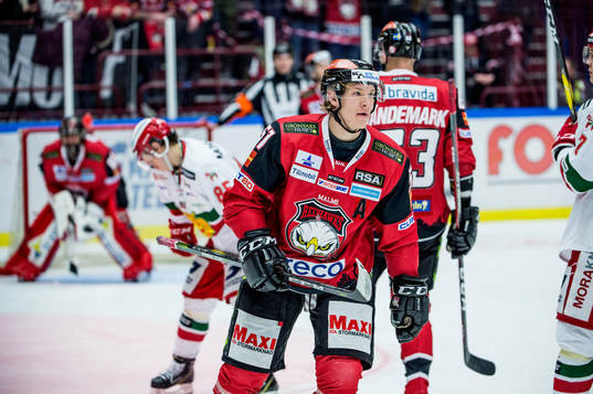 Malmö Redhawks Emil Sylvegård