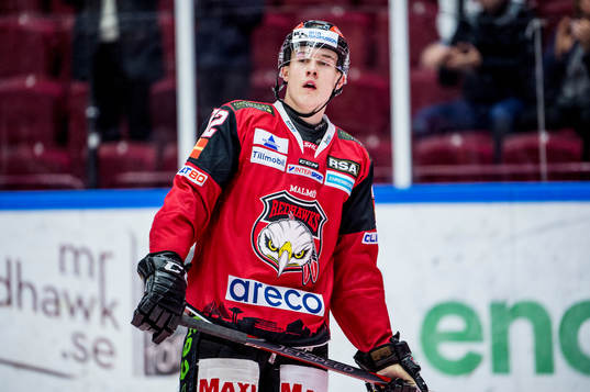 Malmö Redhawks Linus Cronholm