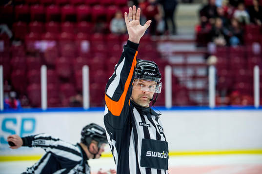 Domare Mikael Nord