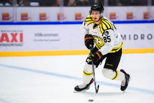 Brynäs Rudolf Cerveny
