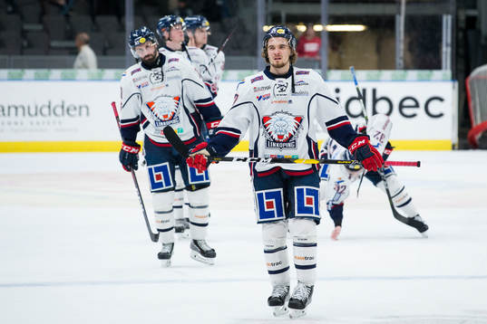 Linköpings Adam Brodecki deppar