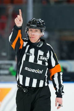 Domare Mikael Holm