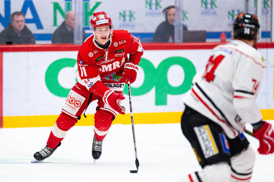 Timrås Henrik Törnqvist