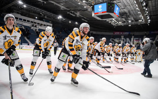 Skellefteås spelare jublar