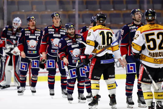 Linköpings Derek Roy med flera deppar
