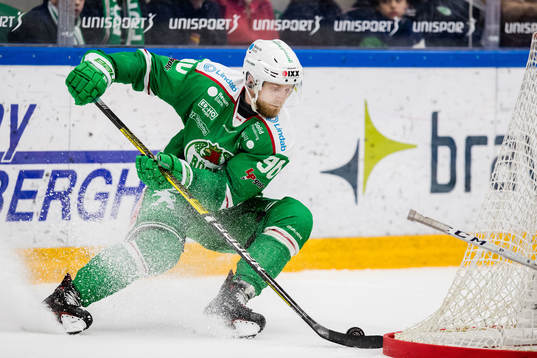 Rögles Ted Brithén